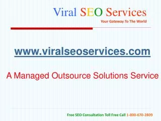 Viral S E O Services Your Gateway To The World