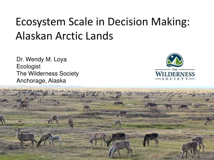 ecosystem scale in decision making alaskan arctic lands