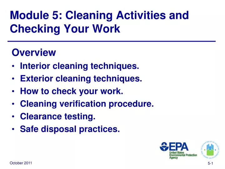 module 5 cleaning activities and checking your work