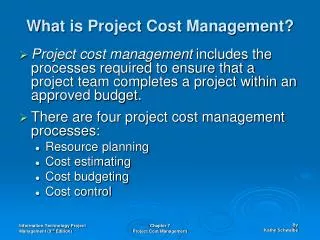 what is project cost management