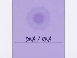 DNA / RNA