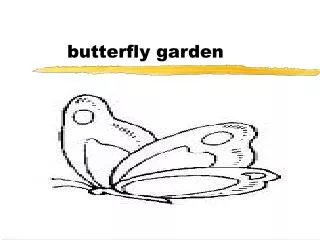 butterfly garden