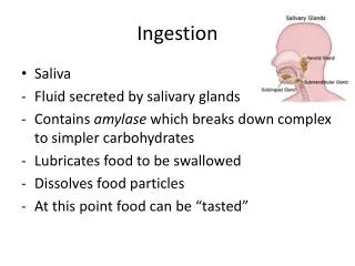 Ingestion