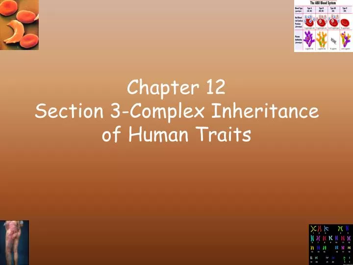 chapter 12 section 3 complex inheritance of human traits