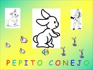 p e p i t o c o n e j o