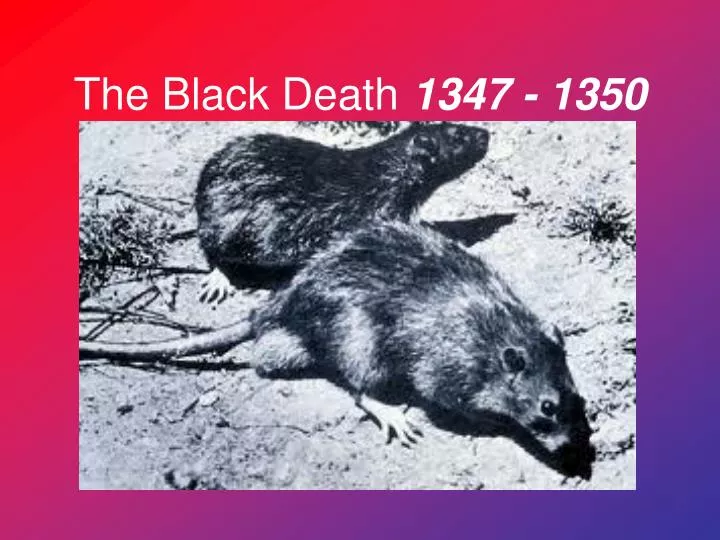 the black death 1347 1350