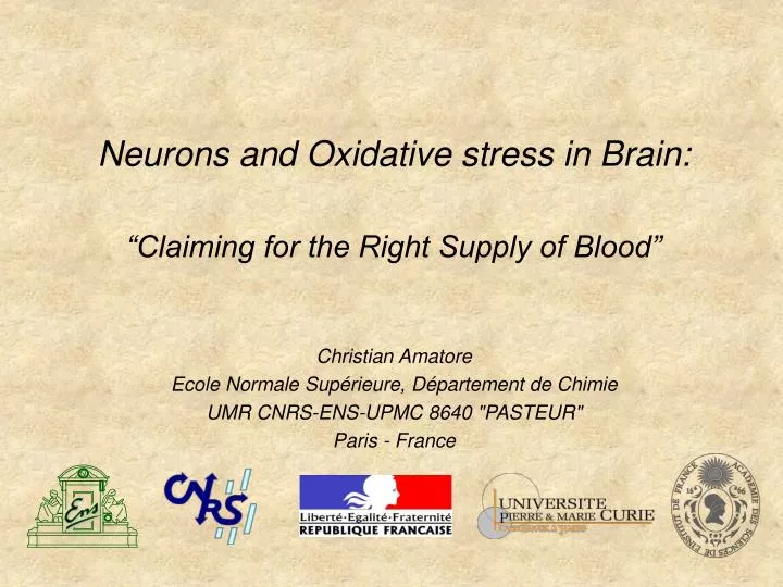 neurons and oxidative stress in brain claiming for the right supply of blood