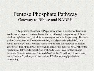 Pentose Phosphate Pathway