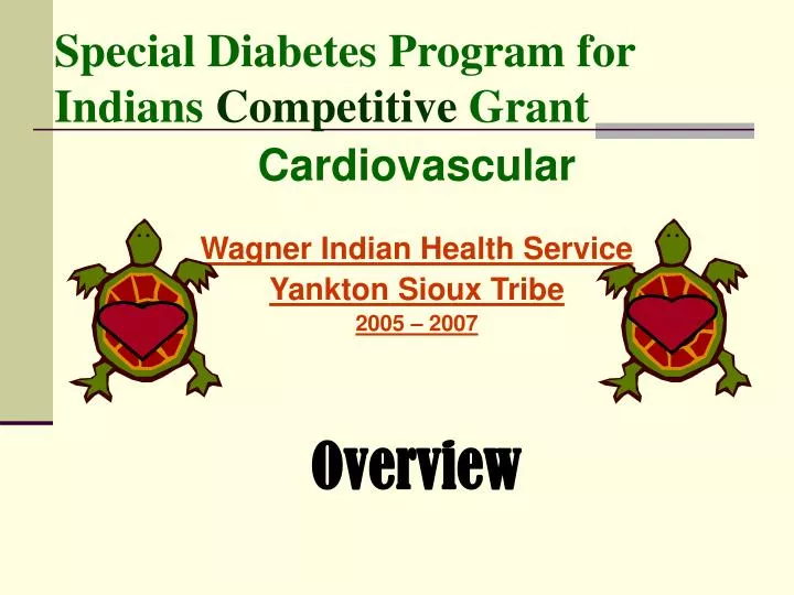special diabetes program for indians competitive grant