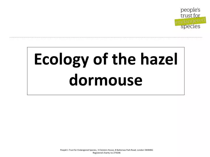 ecology of the hazel dormouse