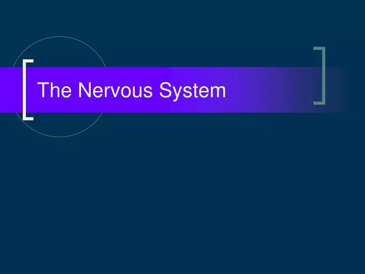 the nervous system