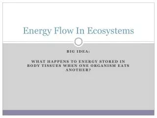 Energy Flow In Ecosystems