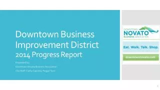 Downtown Business Improvement District 2014 Progress Report