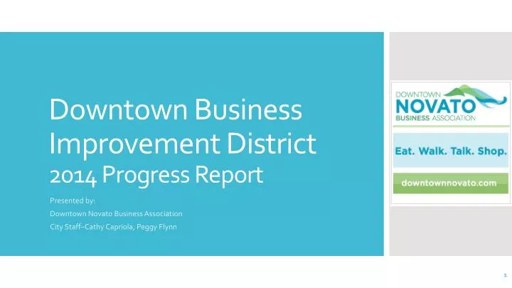 downtown business improvement district 2014 progress report