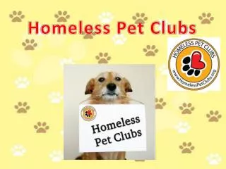 Homeless Pet Clubs