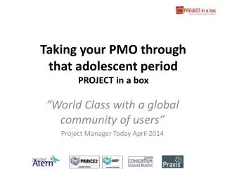 Taking your PMO through that adolescent period PROJECT in a box