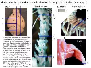 Henderson lab - standard sample blocking for prognostic studies (neuro pg.1)