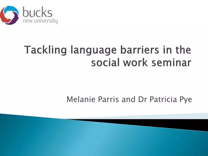 tackling language barriers in the social work seminar