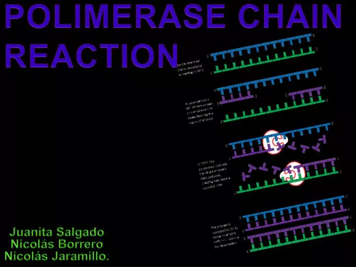 polimerase chain reaction