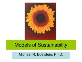 Models of Sustainability