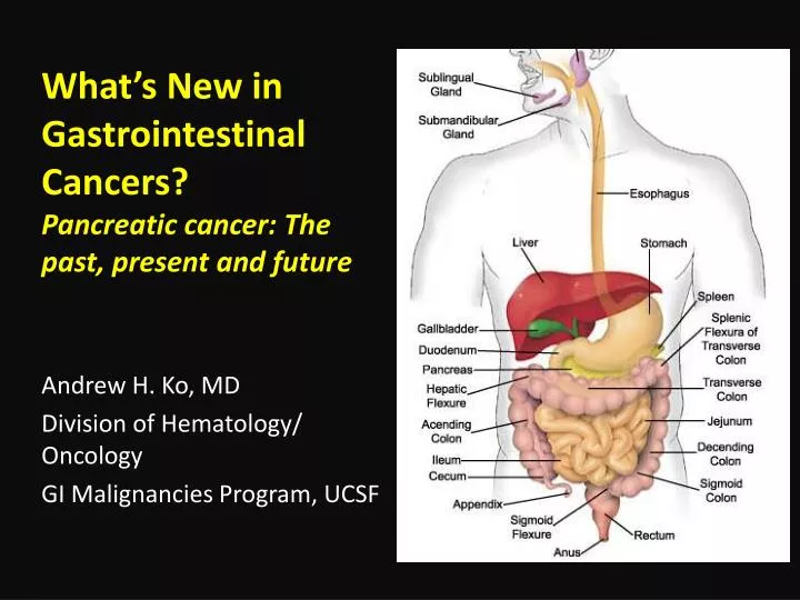 what s new in gastrointestinal cancers pancreatic cancer the past present and future