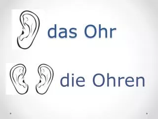 das ohr