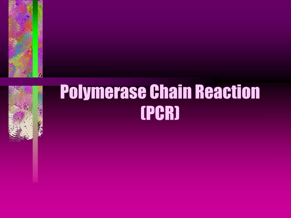 PPT - Polymerase Chain Reaction (PCR) PowerPoint Presentation, free ...