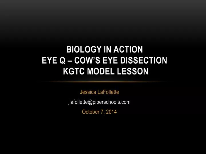 biology in action eye q cow s eye dissection kgtc model lesson