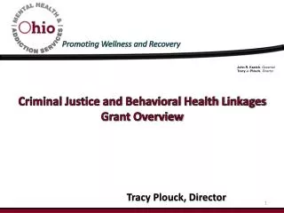 Criminal Justice and Behavioral Health Linkages Grant Overview