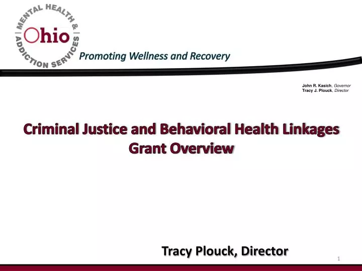 criminal justice and behavioral health linkages grant overview