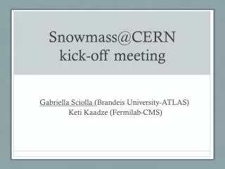 Snowmass@CERN kick-off meeting