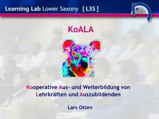 koala