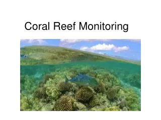 Coral Reef Monitoring