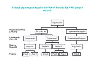 Project organogram used in the Pastel Partner for NPO sample reports
