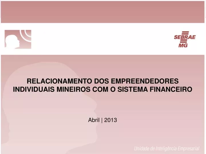relacionamento dos empreendedores individuais mineiros com o sistema financeiro