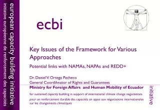 Key Issues of the Framework for Various Approaches Potential links with NAMAs, NAPAs and REDD+