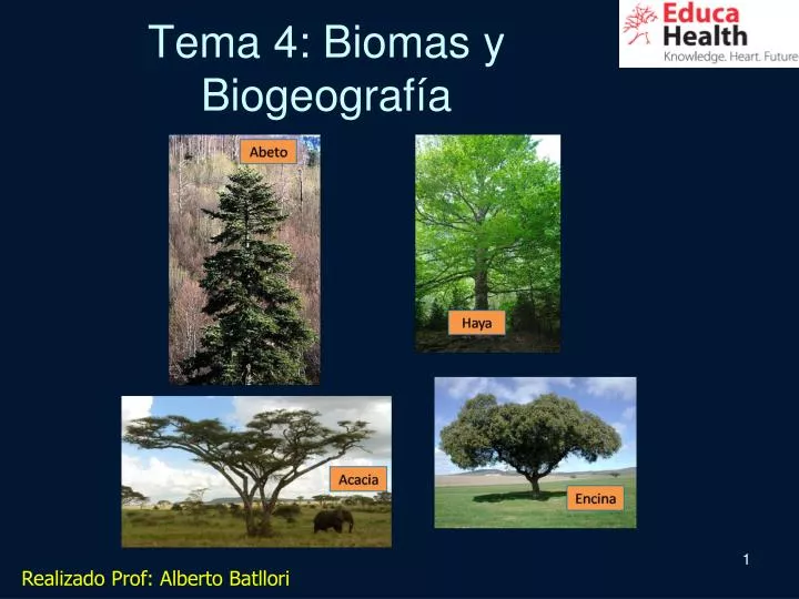 tema 4 biomas y biogeograf a