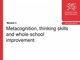Metacognition, thinking skills and whole-school improvement