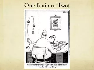 One Brain or Two?