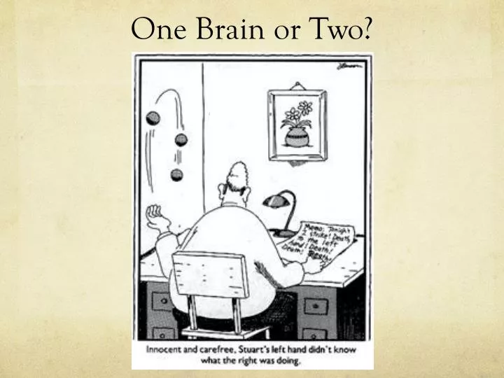 one brain or two