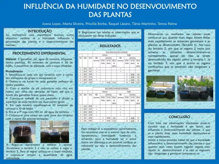 influ ncia da humidade no desenvolvimento das plantas