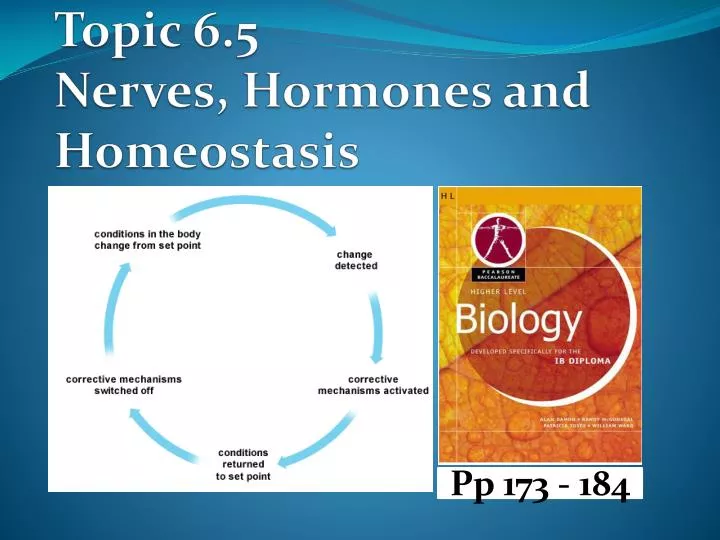 topic 6 5 nerves hormones and homeostasis
