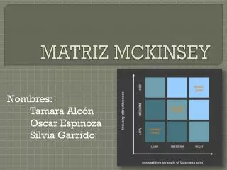 matriz mckinsey