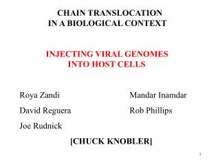 CHAIN TRANSLOCATION 			 IN A BIOLOGICAL CONTEXT