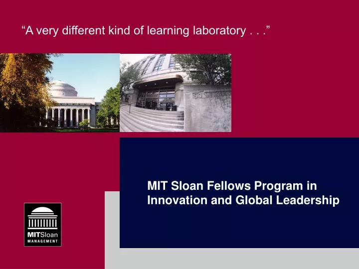 mit sloan fellows program in innovation and global leadership