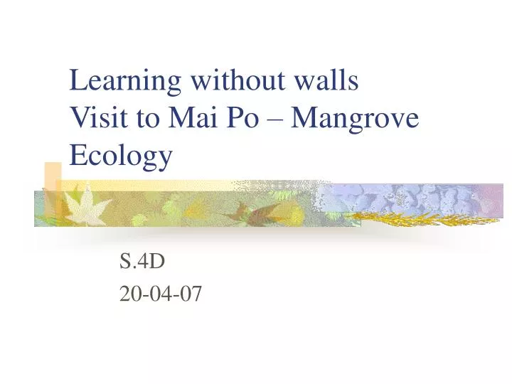 learning without walls visit to mai po mangrove ecology