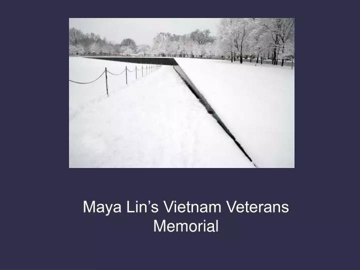 maya lin s vietnam veterans memorial