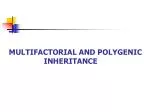 PPT - MULTIFACTORIAL INHERITANCE PowerPoint Presentation, free download ...