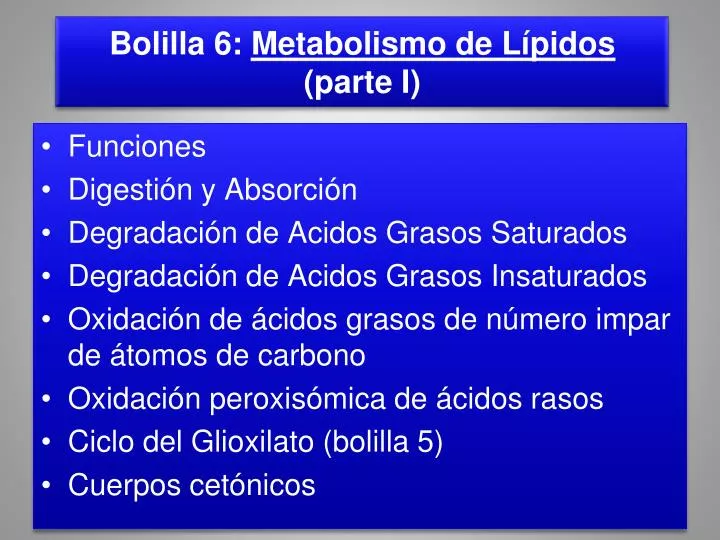 bolilla 6 metabolismo de l pidos parte i