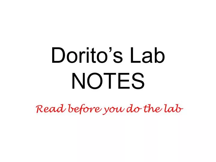 dorito s lab notes